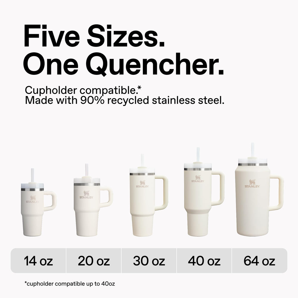 STANLEY Quencher H2.0 Tumbler with Handle and Straw 40 oz | Flowstate 3-Position Lid | Cup Holder Compatible for Travel | Insulated Stainless Steel Cup | BPA-Free | Purple Dust 🍁 All In One Marketplace Canada