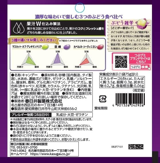 Kasugai Premium Rich Grape Jelly Bean (75G) [Best Before Date: 2027.03]