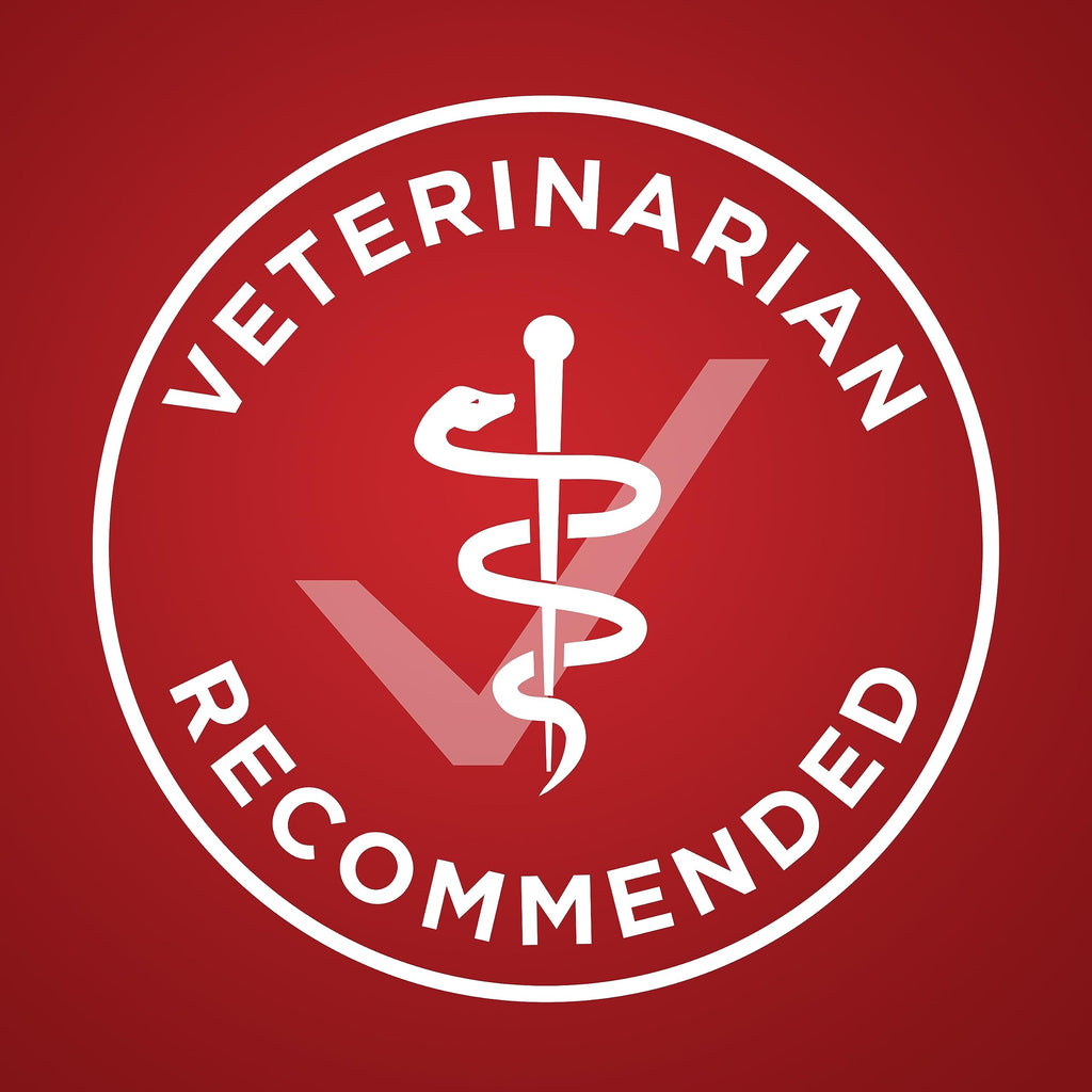Purina ONE Dry Dog Food, Microbiome Balance with Lamb & Rice 3.63kg 🍁 All In One Marketplace Canada