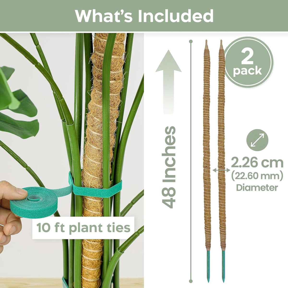 K-Brands 2 Pack 48 Inches Bendable Moss Pole Monstera Plant Support for Climbing Indoor Plants - Stakes for Potted Climbers - Tall Sticks Indoor Trellis for Houseplants - Accessories for Monstera Pot