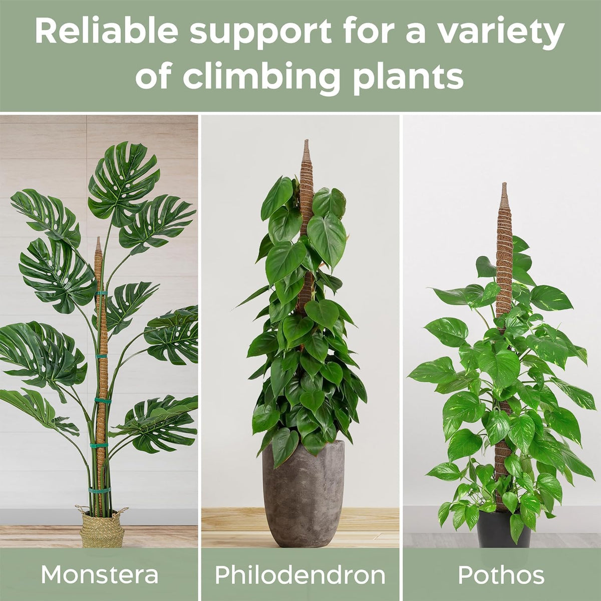 K-Brands 2 Pack 48 Inches Bendable Moss Pole Monstera Plant Support for Climbing Indoor Plants - Stakes for Potted Climbers - Tall Sticks Indoor Trellis for Houseplants - Accessories for Monstera Pot