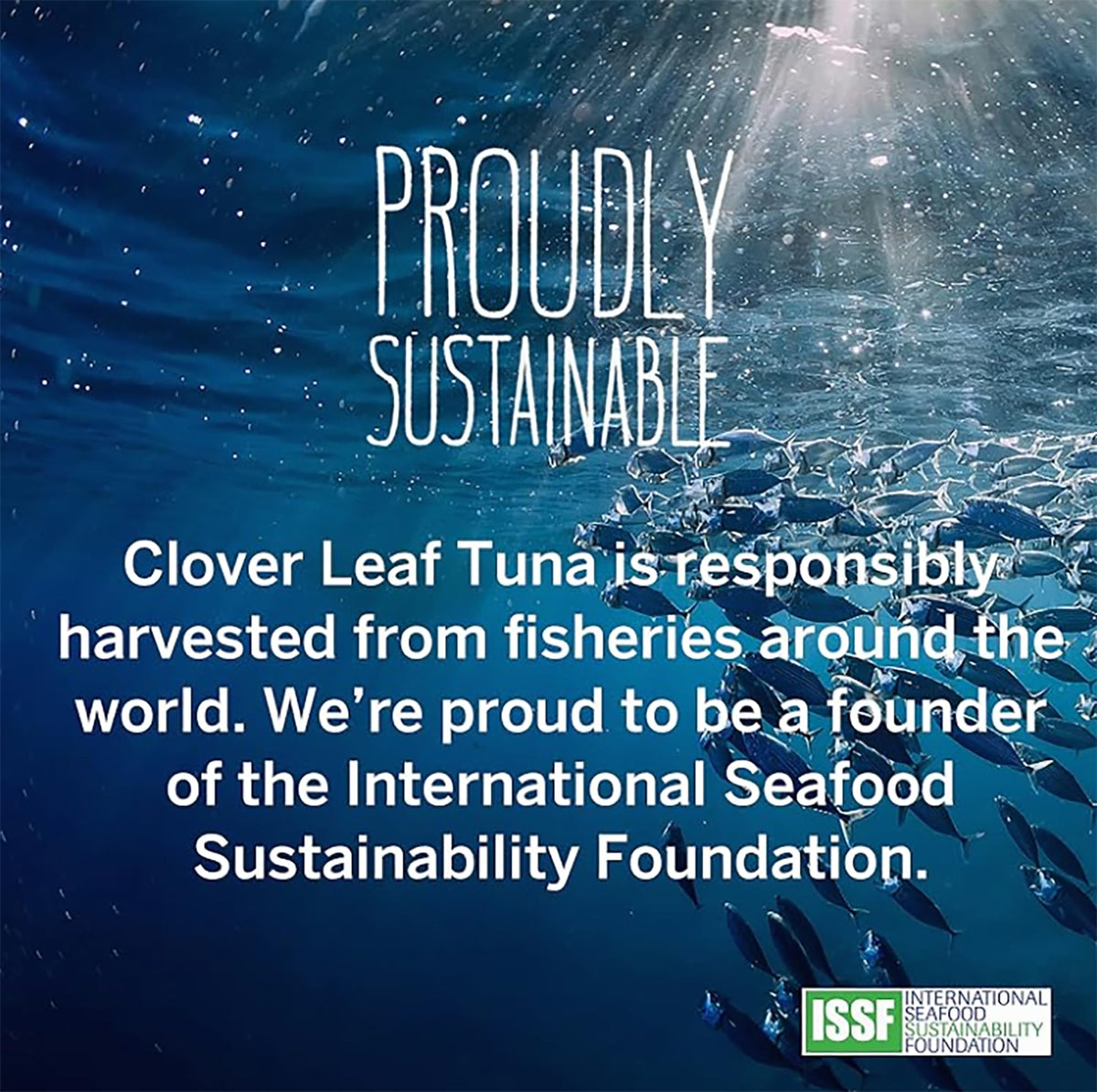 Clover Leaf Tomato & Onion Tuna — 24 × 85 g
