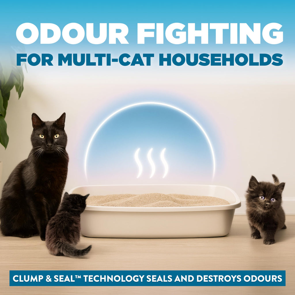 Arm & Hammer Clump & Seal Cloud Control Clay Cat Litter, Multi-Cat, 12.7kg, 7 Days of Odour Control, Dust Free, Clumping Litter (Pack of 1) 🍁 All In One Marketplace Canada
