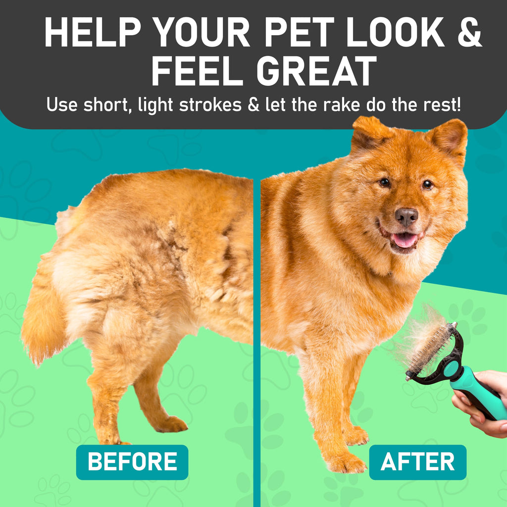 Maxpower Planet Pet Grooming Brush - Double Sided Shedding, Dematting - Undercoat Rake Dogs - Dog Grooming Brush - Deshedding Brush for Dogs - Dog Brush, Cat Brush, Reduce Shedding by 95%, Turquoise 🍁 All In One Marketplace Canada