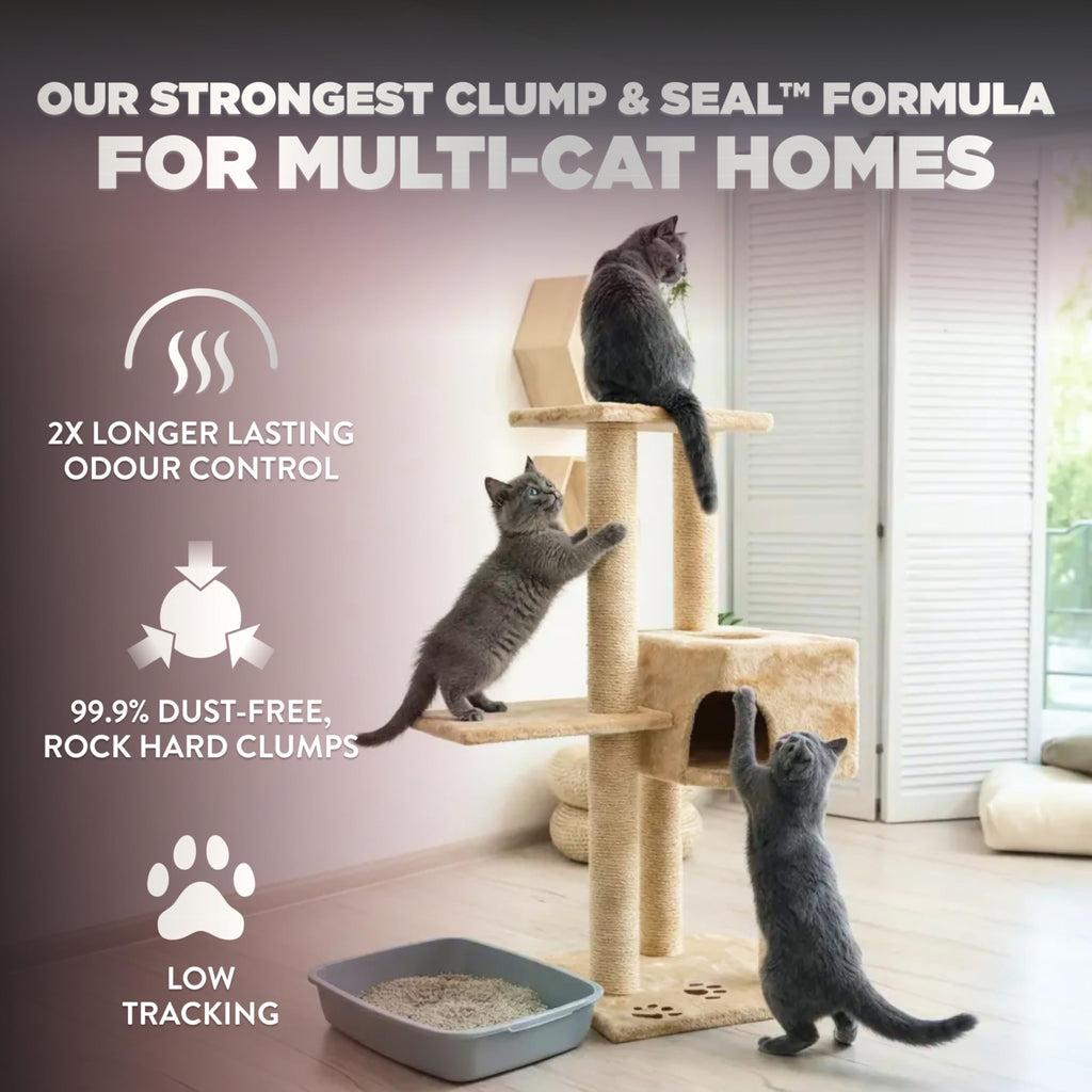 ARM & HAMMER Platinum Cat Litter Clump & Seal Complete Odour Sealing with 14 Days of Odour Control Multi-Cat, Hard Clumping Clay, 99.99% Dust Free 8.16kg (Pack of 1) 🍁 All In One Marketplace Canada