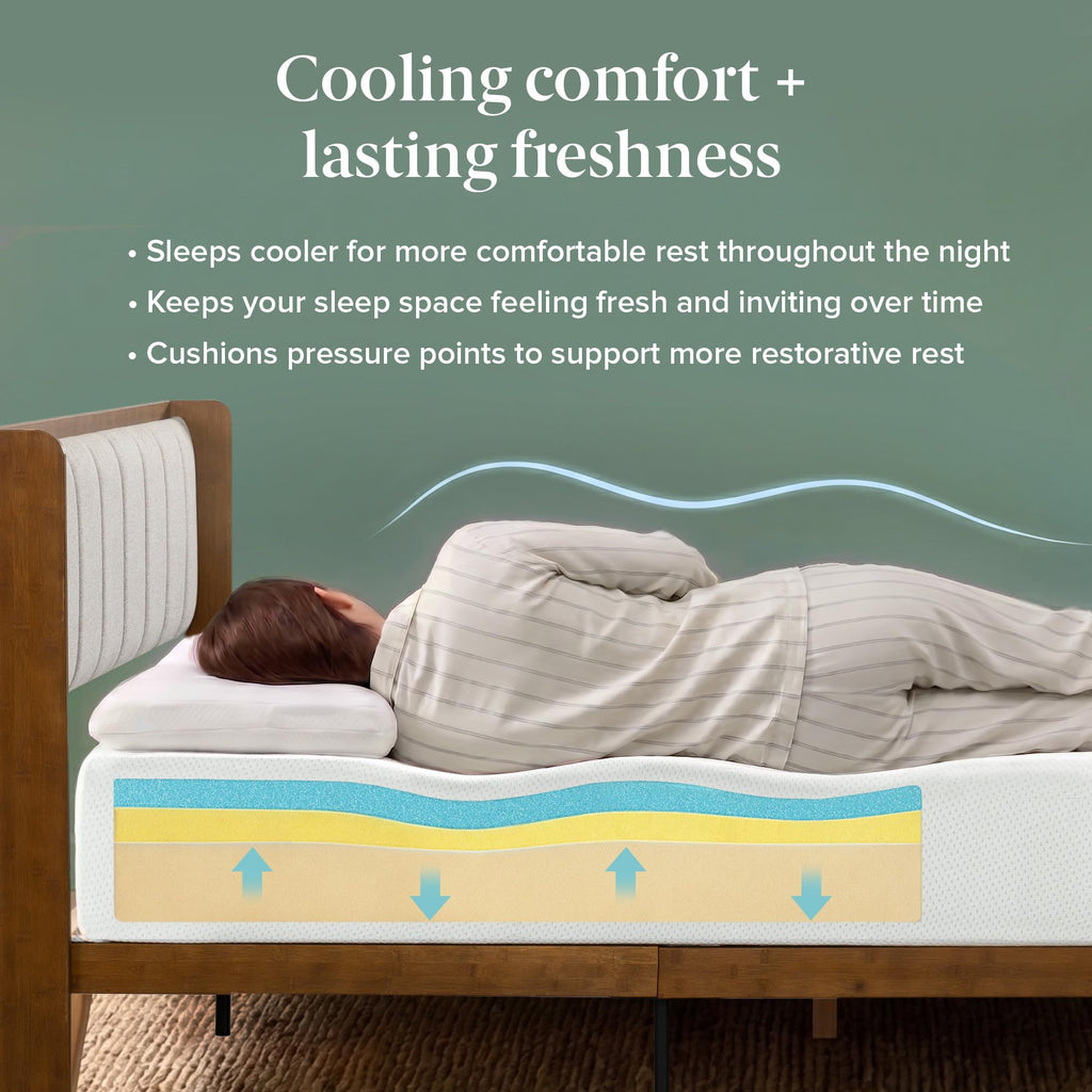Zinus Twin Mattress - 12 Inch Green Tea Cooling Gel Memory Foam Mattress, Pressure Relief, for Cool Sleep, CertiPUR-US Certified Foam, Mattress in a Box, 10-Year Warranty, Twin Size 🍁 All In One Marketplace Canada