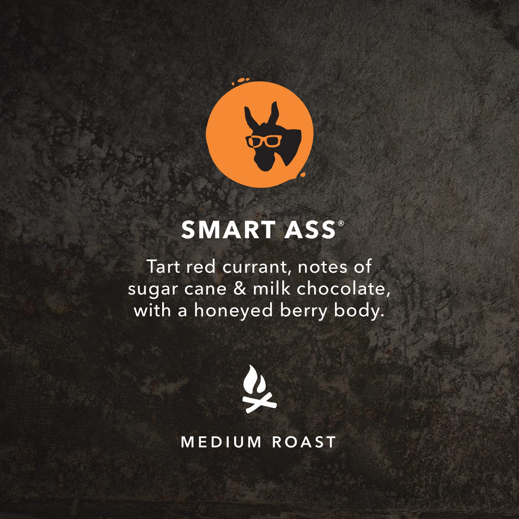 Kicking Horse Coffee, Smart Ass, Medium Roast, Whole Bean, 1 lb - Certified Organic, Fairtrade, Kosher Coffee 🍁 All In One Marketplace Canada