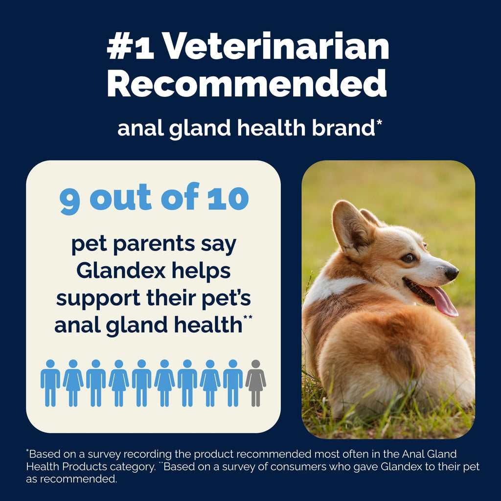 Glandex Anal Gland Soft Chew Treats with Pumpkin for Dogs Chews with Digestive Enzymes, Probiotics Fiber Supplement for Dogs – Vet Recommended - Boot The Scoot (Peanut Butter, 120ct Chews) 🍁 All In One Marketplace Canada