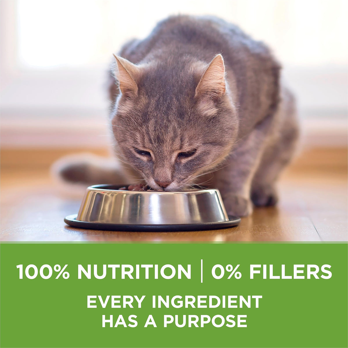 Purina ONE +Plus Dry Cat Food, Indoor Advantage Turkey - 3 kg Bag 🍁 All In One Marketplace Canada