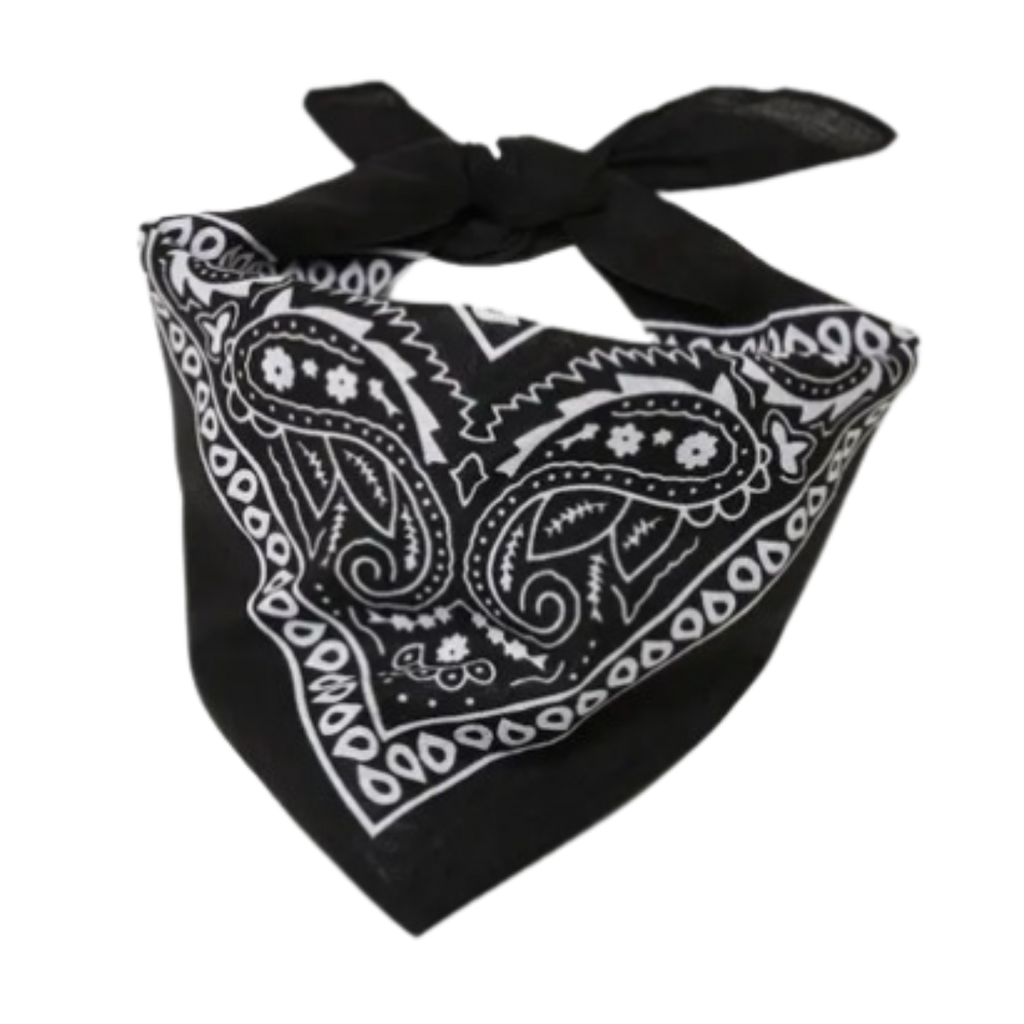 Europe Bound Bandanas | Bundle of 5