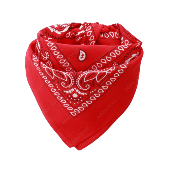 Europe Bound Bandanas | Bundle of 5