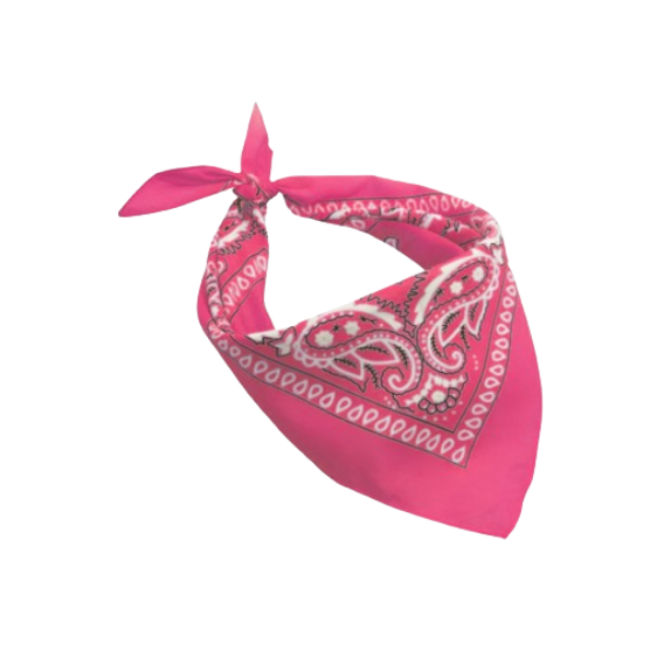 Europe Bound Bandanas | Bundle of 5